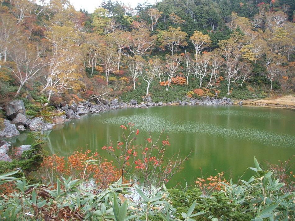 Natural Pension Pumpkin Отарі Екстер'єр фото